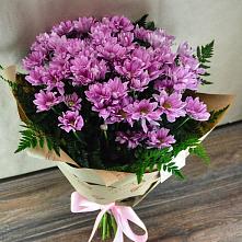 Букет цветов из:  Хризантемы #REPLACE_PRED# Родниковый